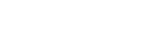 DSI-logo-wht-540x150