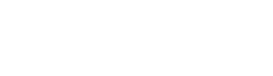 DSI-logo-wht-540x150